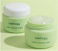 Wellogy Avocado Cream